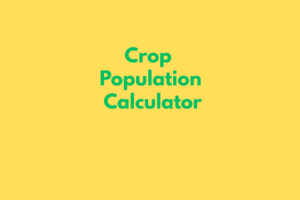 GST CALCULATOR (10)