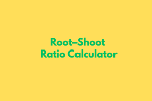 GST CALCULATOR (11)