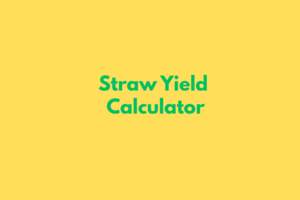 GST CALCULATOR (12)