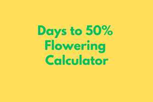 GST CALCULATOR (3)