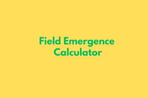 GST CALCULATOR