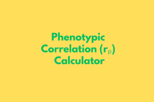 GST CALCULATOR