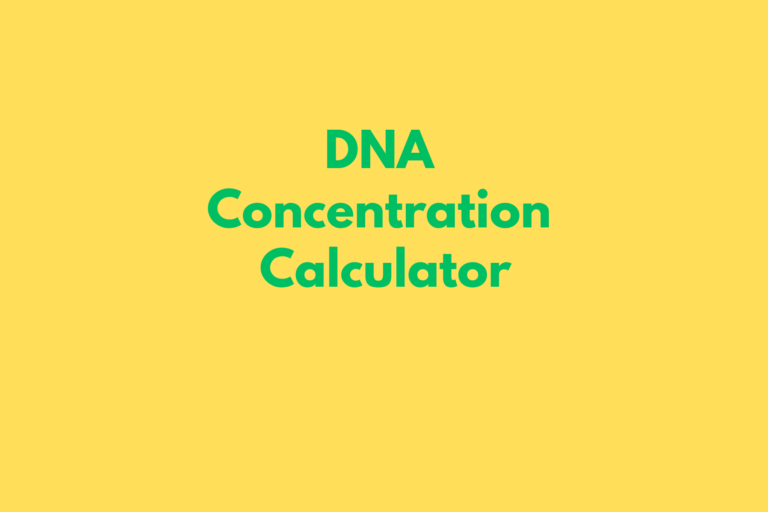 GST CALCULATOR