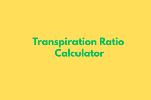 GST CALCULATOR (9)