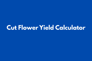 GST CALCULATOR (19)