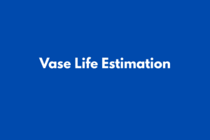 GST CALCULATOR (24)