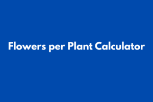 GST CALCULATOR (25)
